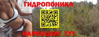 PSILOCYBIN Кинель