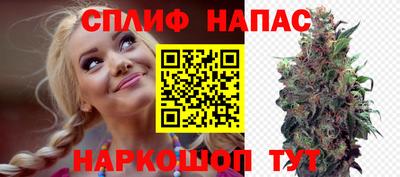 PSILOCYBIN Кинель