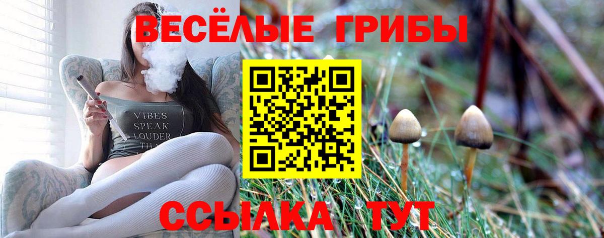 продажа наркотиков  Вход с VPN  Керчь  Галлюциногенные грибы Magic Shrooms  Галлюциногенные грибы MAGIC MUSHROOMS 